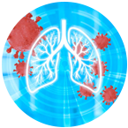 Enfermedades transmisibles